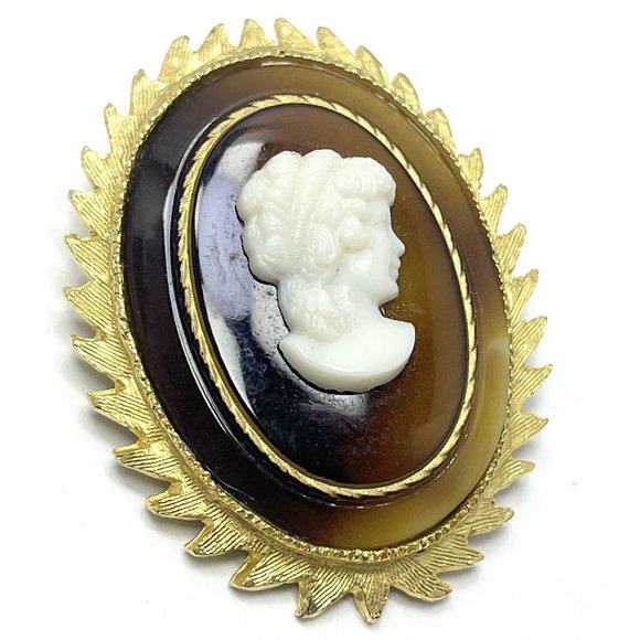 Vintage Brown Cameo Brooch Pin